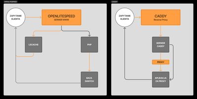 Wizualne porównanie architektury serwerów OpenLiteSpeed oraz Caddy