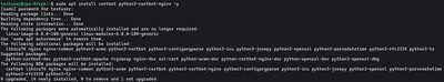 Running sudo apt install certbot python3-certbot-nginx -y on Ubuntu/Debian - terminal output