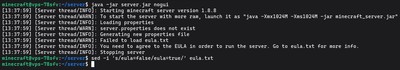 First launch of the 1.8.8 JAR to generate configuration files and accept the EULA