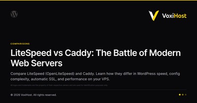 LiteSpeed vs Caddy: The Battle of Modern Web Servers