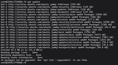 Running sudo apt update on Ubuntu or Debian to refresh the package index and check for available updates