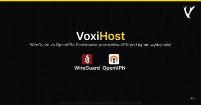 WireGuard vs OpenVPN: Porównanie protokołów VPN pod kątem wydajności