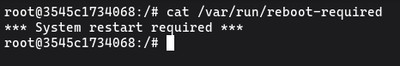 Checking /var/run/reboot-required file on Ubuntu to determine if a system reboot is needed after a kernel update