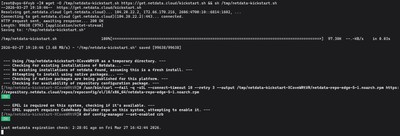 Downloading and executing the Netdata kickstart installation script via wget on a Linux VPS