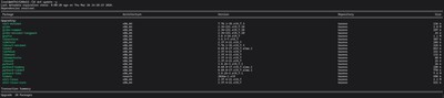 Running sudo dnf update -y on AlmaLinux 9 - terminal output