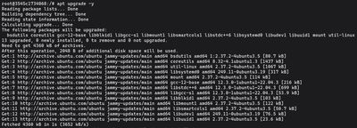 Running sudo apt upgrade -y on Ubuntu or Debian to install all available package upgrades from the updated index