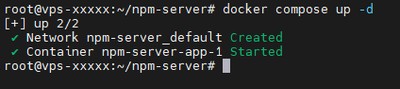 Starting Nginx Proxy Manager