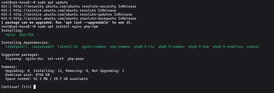 Terminal pokazujący polecenia apt update i apt install nginx php-fpm