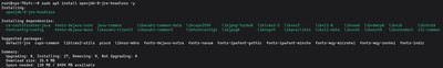 Terminal output showing the installation of OpenJDK 8 on an Ubuntu server