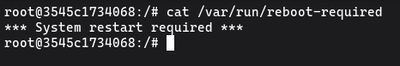 Checking /var/run/reboot-required file on Ubuntu to determine if a system reboot is needed after a kernel update