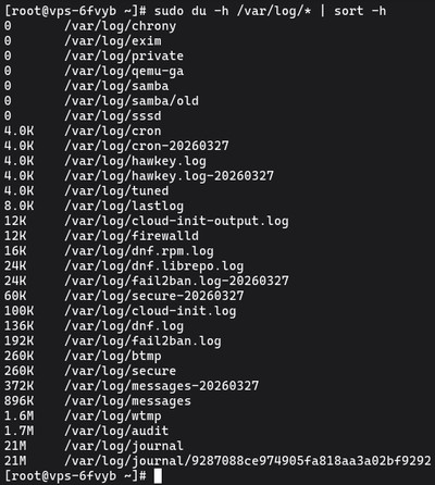 Running sudo du -h /var/log/* | sort -h to find the largest individual log files on Linux