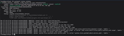 Running sudo systemctl status netdata to verify the Netdata daemon is actively running in the background