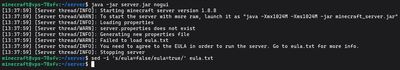 First launch of the 1.8.8 JAR to generate configuration files and accept the EULA
