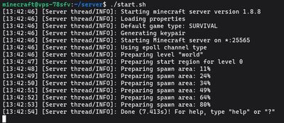 Manually starting the Minecraft 1.8.8 server to access the live console