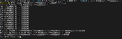Terminal podczas uruchamiania kontenera FileBrowser