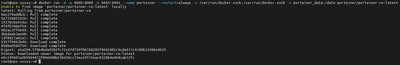 Running the Portainer CE container with required port and volume parameters