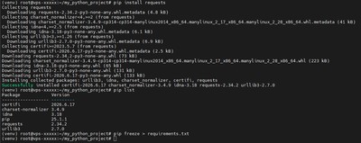 Terminal pokazujący wynik instalacji pip oraz wygenerowany plik requirements.txt wewnątrz aktywnego venv