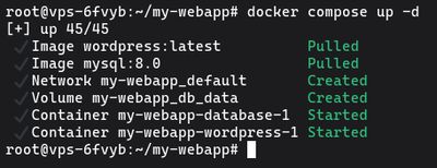 Running docker compose up -d to start all containers defined in docker-compose.yml in detached mode on Ubuntu
