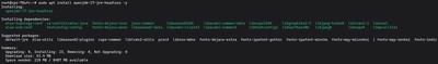 Terminal output showing the installation of OpenJDK 17 on an Ubuntu/Debian system