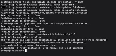 Wyjście terminala pokazujące pomyślną instalację pakietu curl po aktualizacji apt