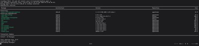 Terminal przedstawiający instalację OpenJDK 8 na serwerze Linux