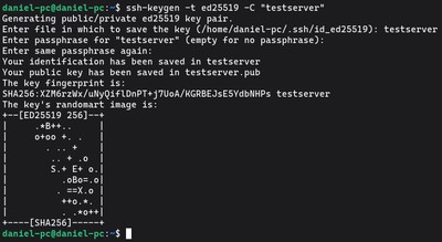 Running ssh-keygen -t ed25519 -C "your-server-label" to generate a new SSH key pair