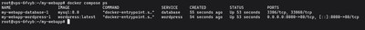 Running docker compose ps to list all running containers and their ports in the current Docker Compose project