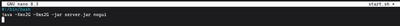 Using the nano editor to create and configure the start.sh launch script