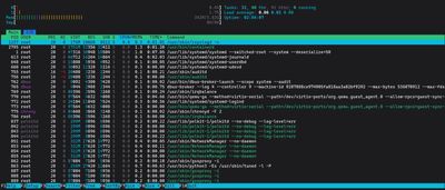 Kolorowy interfejs terminala htop pokazujący na żywo użycie CPU i RAM na VPS Linux