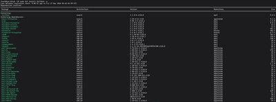 Running sudo dnf install epel-release -y command on AlmaLinux, CentOS, Rocky Linux & Fedora to install epel-release