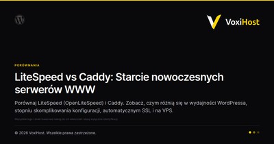 LiteSpeed vs Caddy: Starcie nowoczesnych serwerów WWW