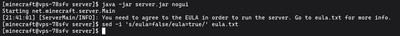 First launch of the 1.21.1 JAR to generate configuration files and accept the EULA