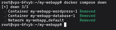 Running docker compose down to stop and remove all containers, networks, and volumes in a Docker Compose project