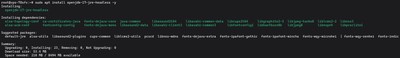 Terminal przedstawiający instalację OpenJDK na Ubuntu/Debian