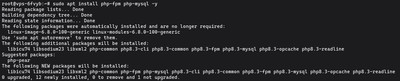 Running sudo apt install php-fpm php-mysql to install PHP 8 with FPM and MySQL extension on Ubuntu for LEMP stack