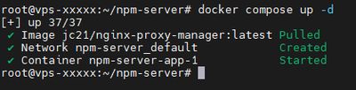 Uruchamianie Nginx Proxy Manager komendą docker compose up