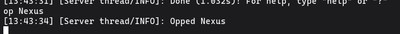 Giving yourself administrative (OP) privileges via the server console