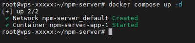 Starting Nginx Proxy Manager