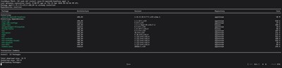 Terminal output showing the installation of OpenJDK 21 on a Linux system