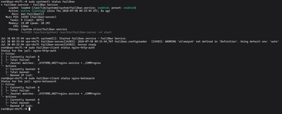 Verifying the status of active Fail2Ban jails for Nginx