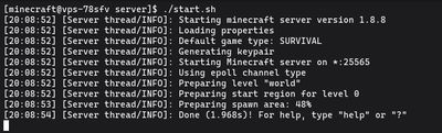 Manually starting the Minecraft 1.8.8 server to access the live console