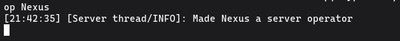 Granting administrative (OP) privileges via the server console