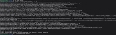 First launch of the 1.19.2 JAR to generate configuration files and accept the EULA