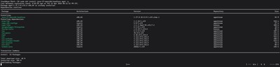 Terminal przedstawiający instalację OpenJDK na systemie Linux