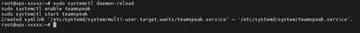Aktywacja i startowanie usługi TeamSpeak w tle