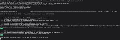 Pobieranie i wykonywanie skryptu instalacyjnego Netdata za pomocą wget na serwerze Linux VPS
