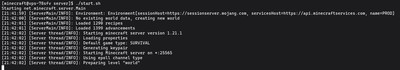 Starting the Minecraft 1.21.1 server manually to access the live console