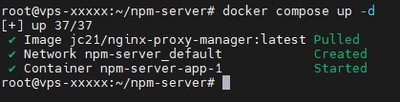 Uruchamianie Nginx Proxy Manager komendą docker compose up