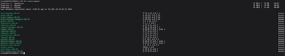 Running sudo dnf check-update on Rocky Linux to preview available updates